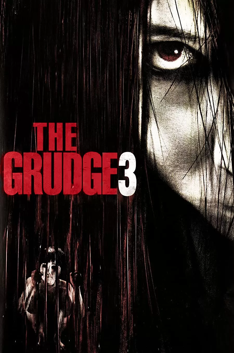 فیلم The Grudge 3 2009