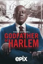 سریال Godfather of Harlem