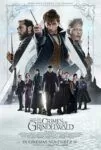 فیلم Fantastic Beasts: The Crimes of Grindelwald 2018